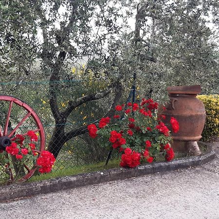 B&B I Coppi San Gimignano Buitenkant foto