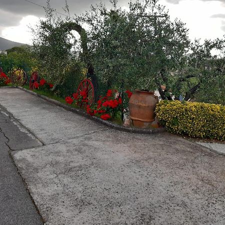 B&B I Coppi San Gimignano Buitenkant foto