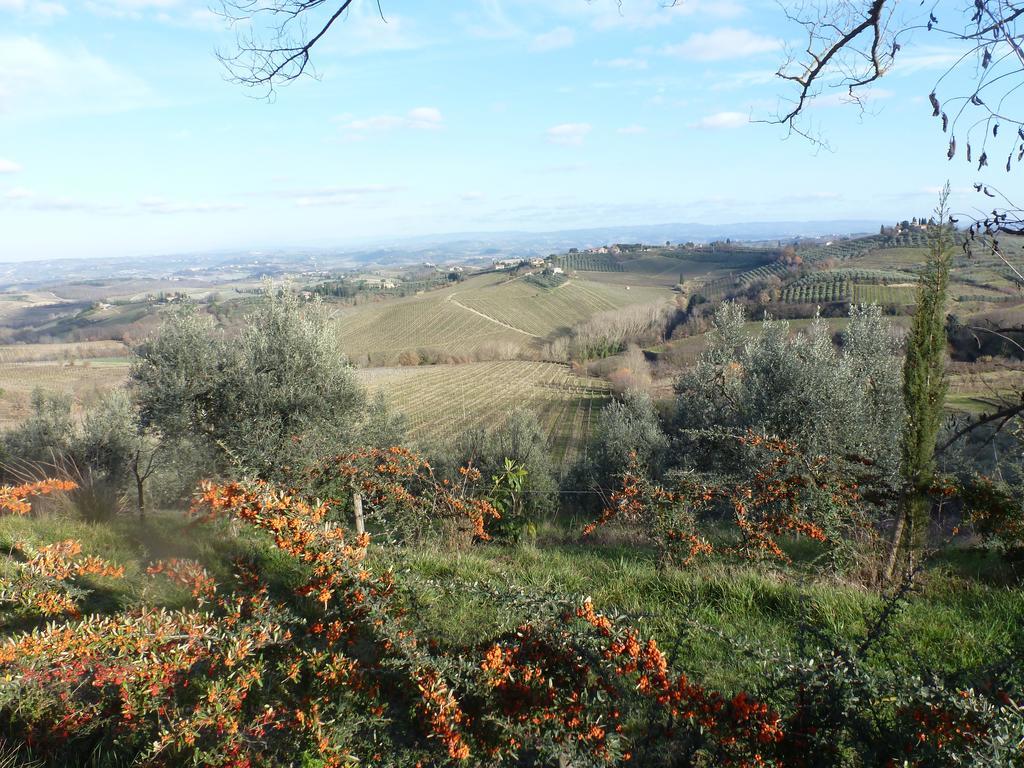 B&B I Coppi San Gimignano Buitenkant foto