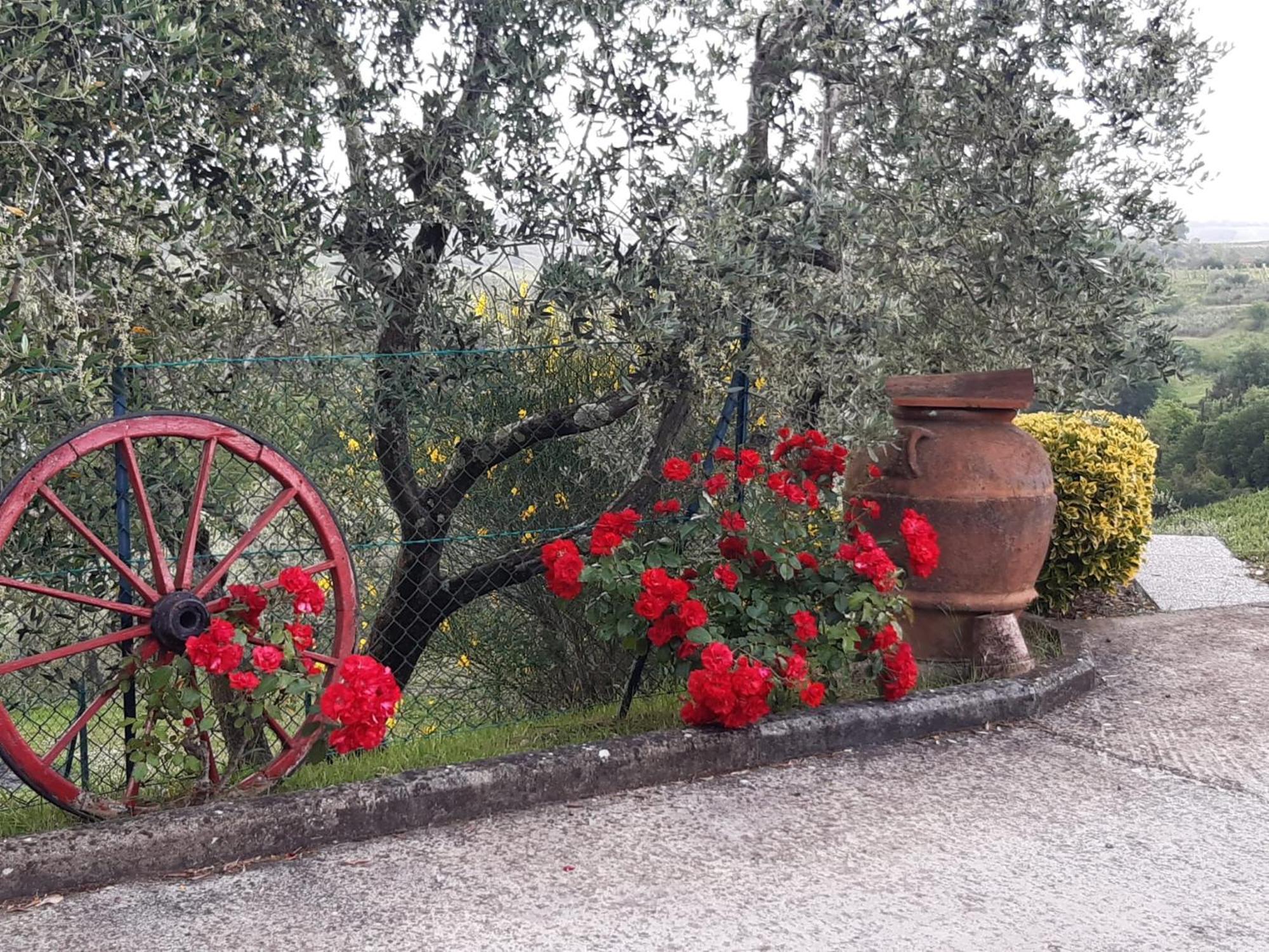 B&B I Coppi San Gimignano Buitenkant foto